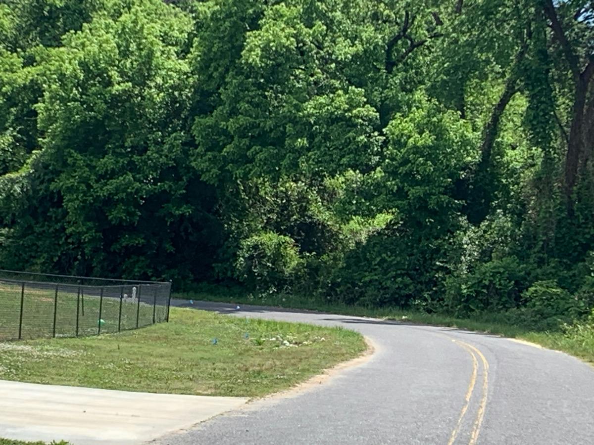 Hamilton St, Chester, SC 29706