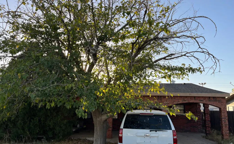 3811 N Texas Ave Odessa, TX 79762, Ector County