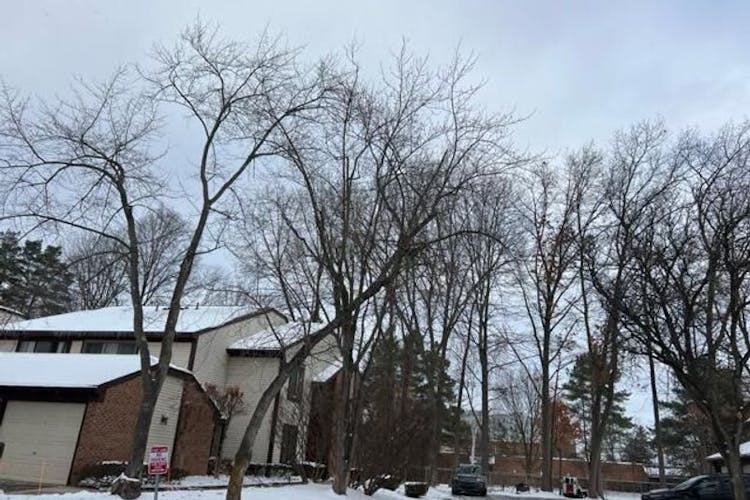 24417 Evergreen Road Southfield, MI 48075, Oakland County