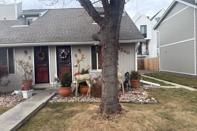 1240 S Reed St Unit 6 Lakewood, CO 80232, Jefferson County