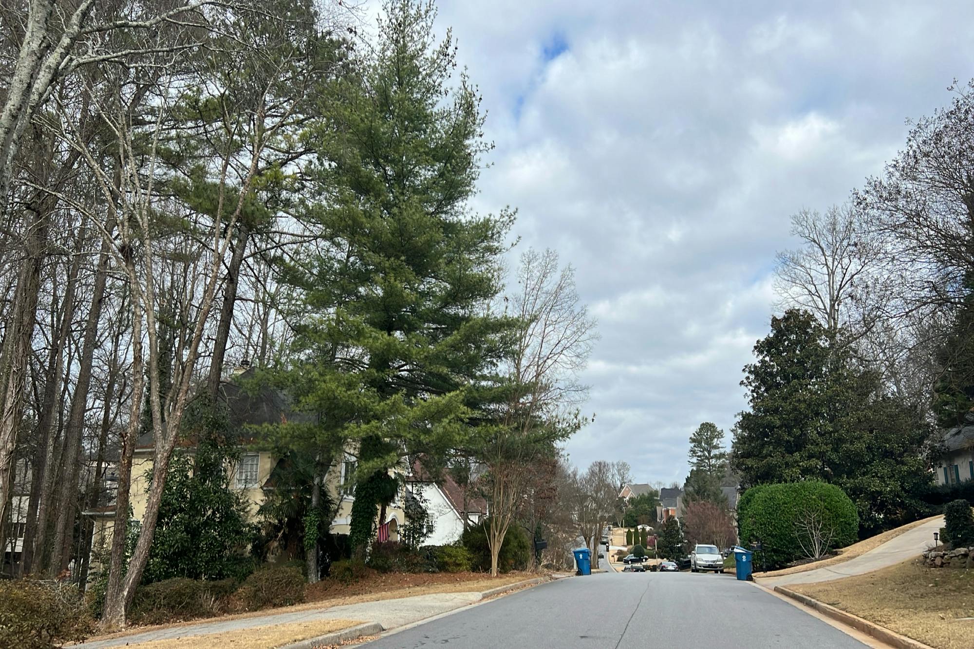 May Apple Ct, Alpharetta, GA 30005