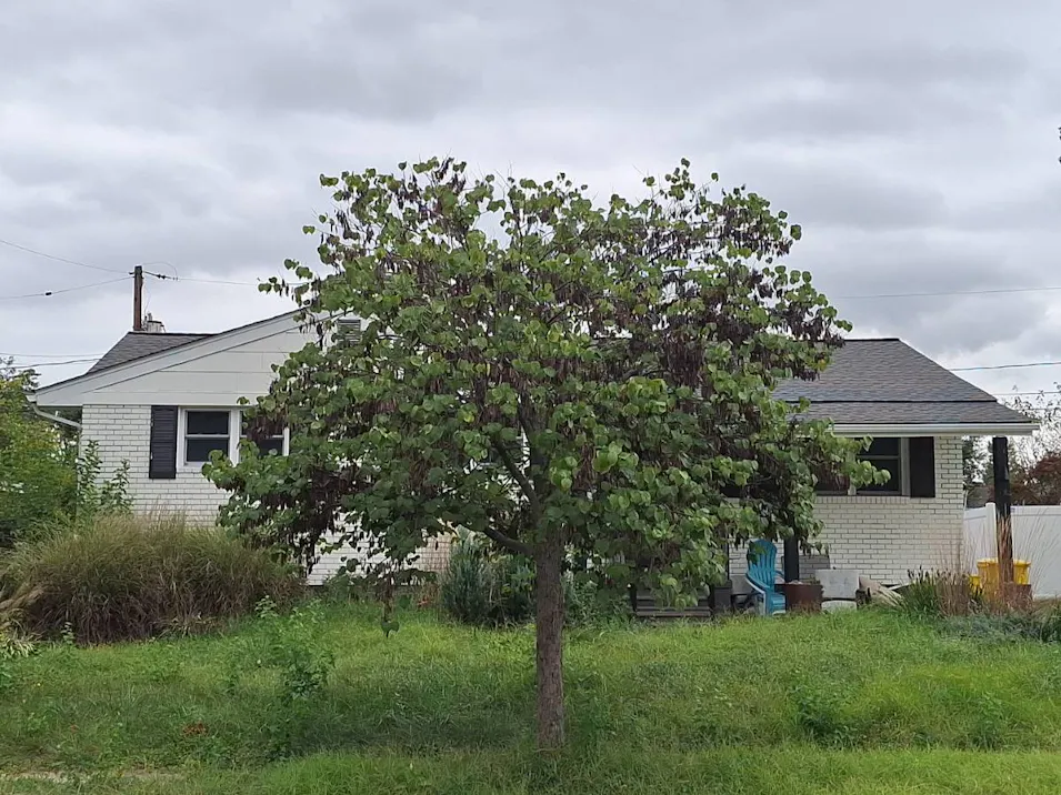 1209 Cedarcliff Dr Glen Burnie, MD 21060, Anne Arundel County