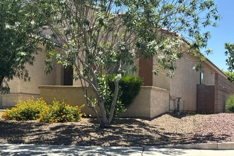 Whitton St, Marana, AZ 85653 #1