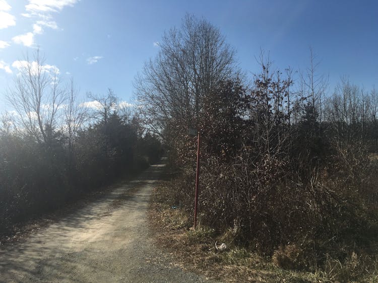 1094 Clays Mill Rd Halifax, VA 24558, Halifax County