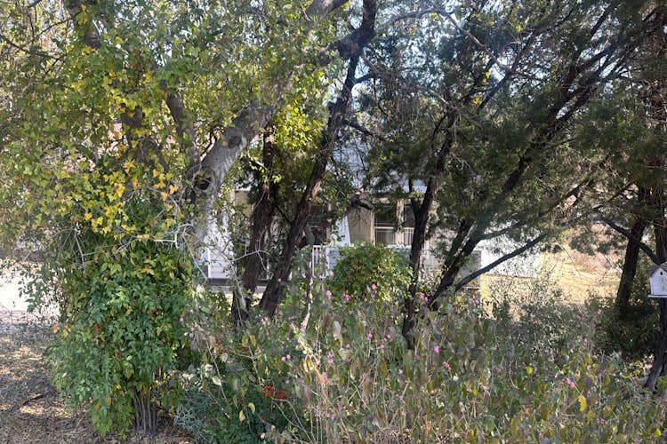 7707 Bar K Ranch Rd Lago Vista, TX 78645, Travis County