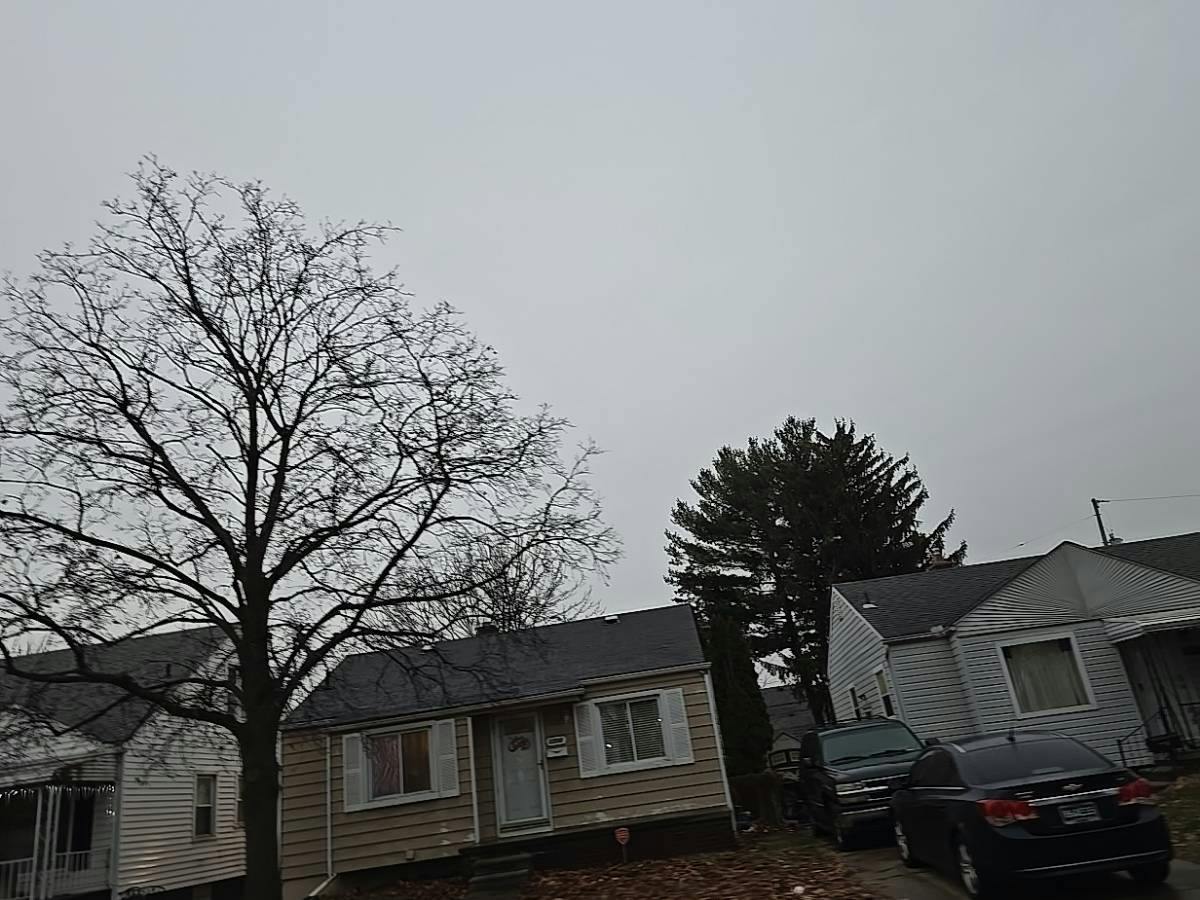Gregory Ave, Lincoln Park, MI 48146