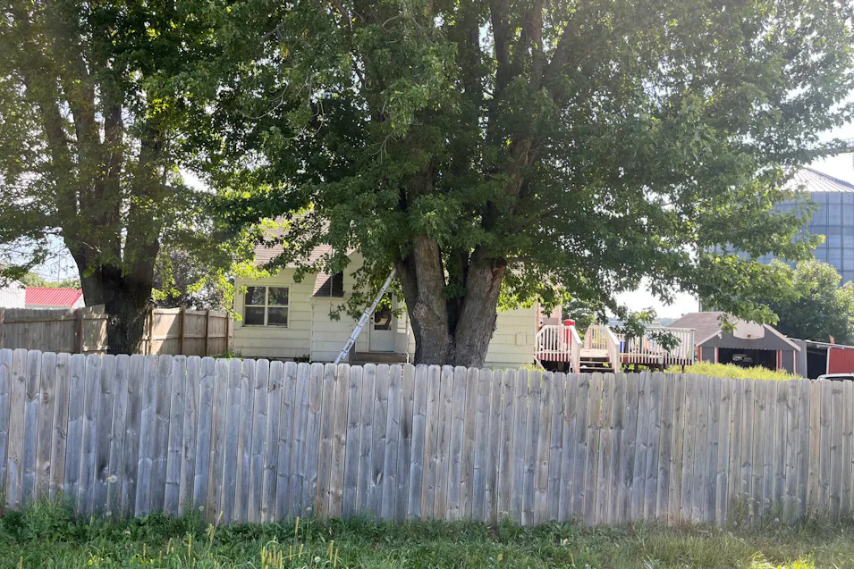 6906 Highway 60 Bv Kenyon, MN 55946, Goodhue County