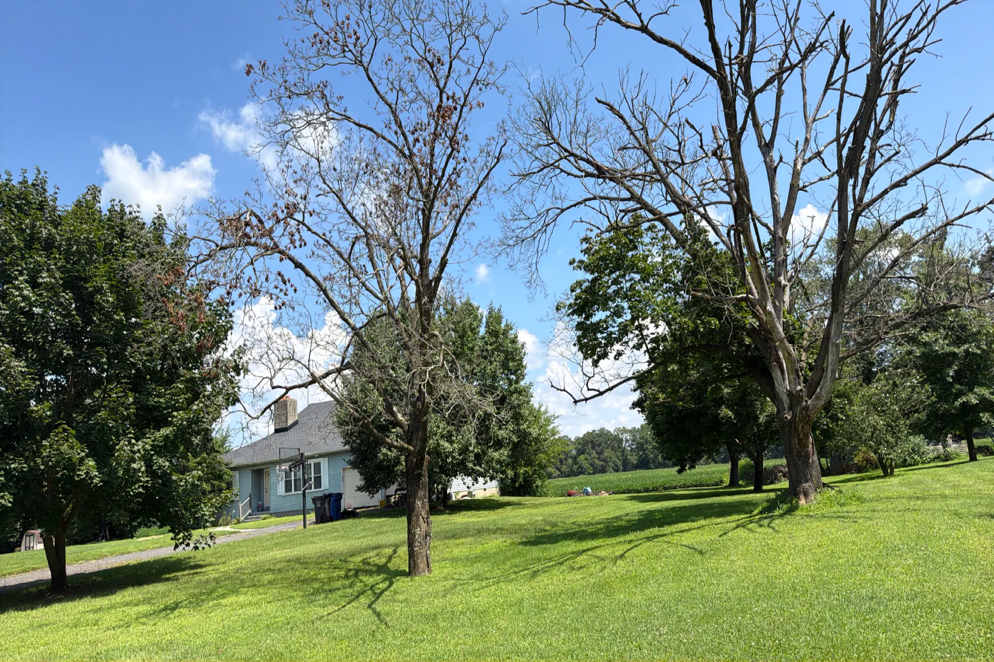 Repaupo Station Rd, Swedesboro, NJ 08085 #1