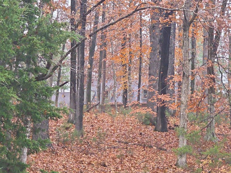 201 Tanglewood Drive Dickson, TN 37055, Dickson County