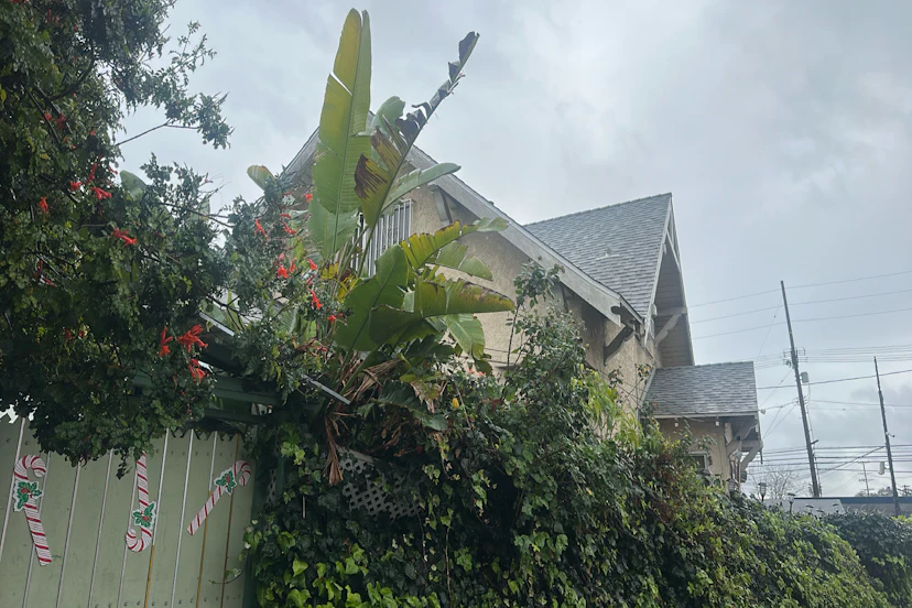 2200 Rogers Avenue