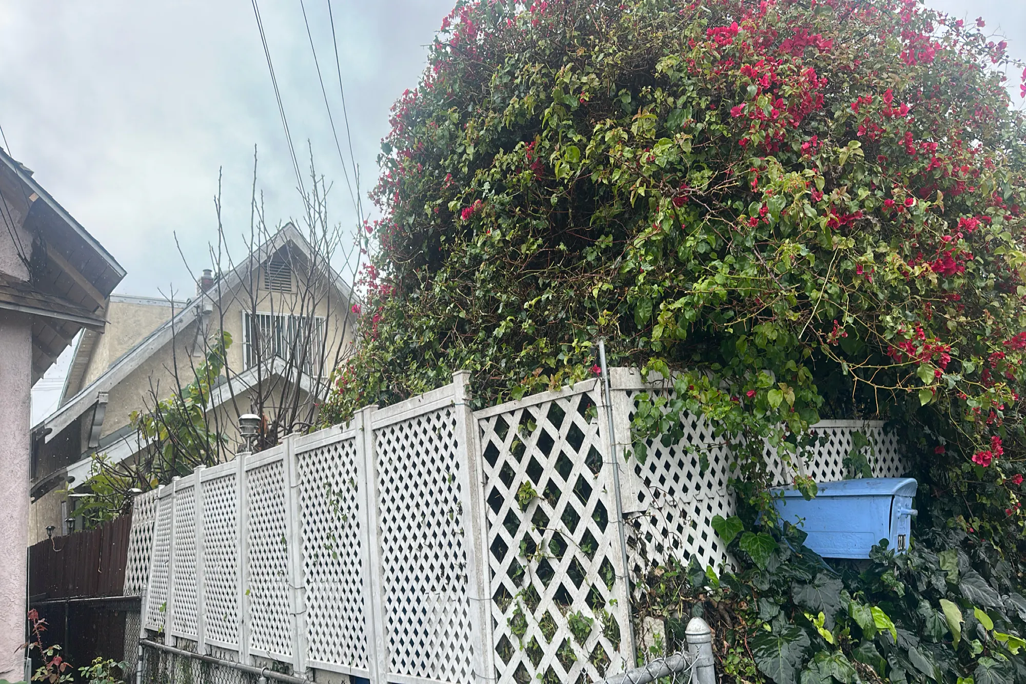 Rogers Ave, Los Angeles, CA 90023 #1