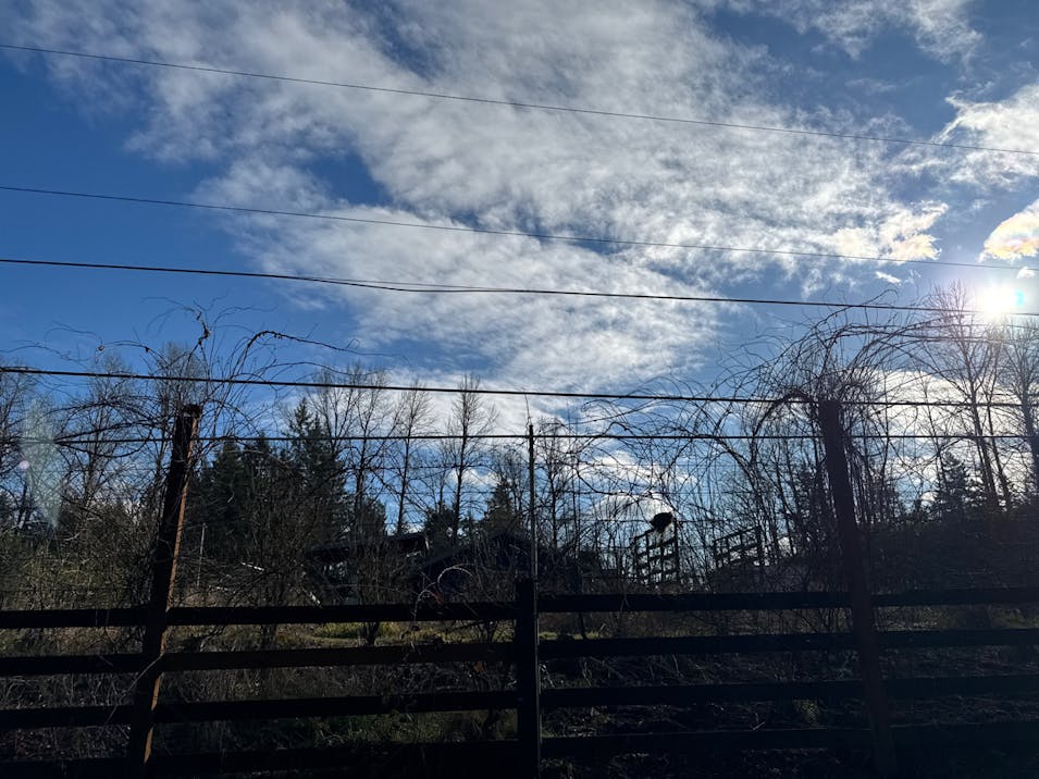 17233 SE 228th St Kent, WA 98042, King County