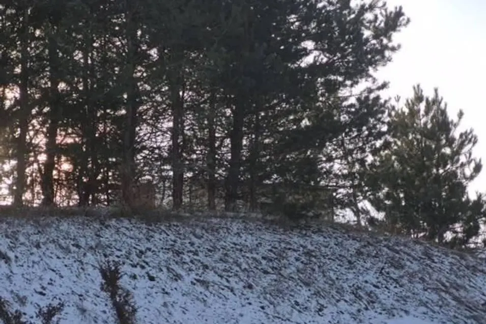 13225 S Coleman Road Empire, MI 49630, Leelanau County