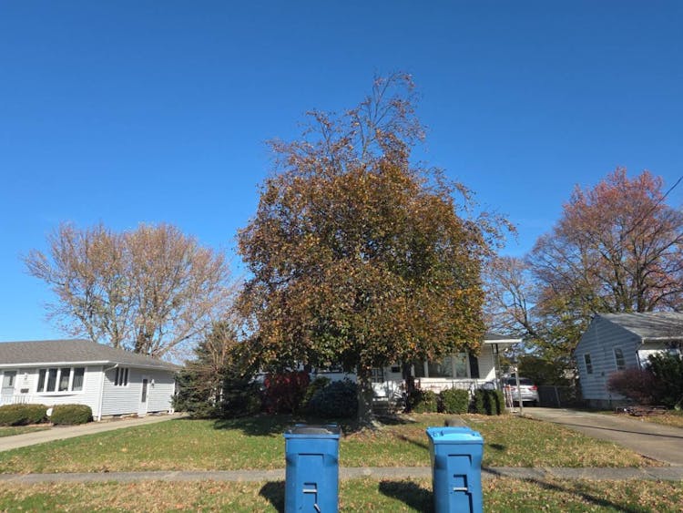 1716 West 30th Street Lorain, OH 44052, Lorain County