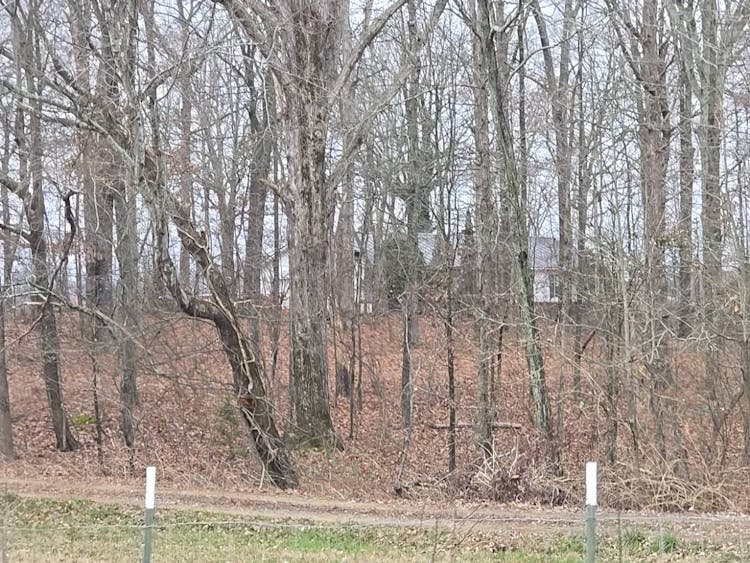 500 Allen Loop Tuscumbia, AL 35674, Colbert County