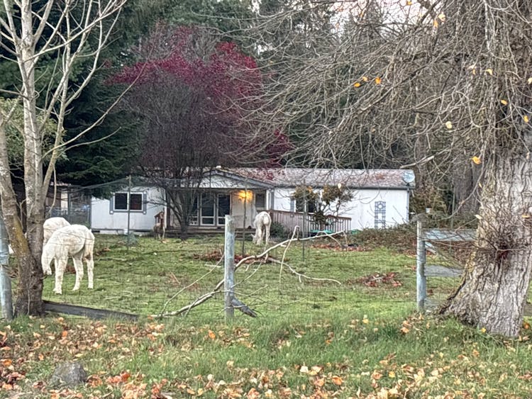 18348 152nd Ct SE Yelm, WA 98597, Thurston County