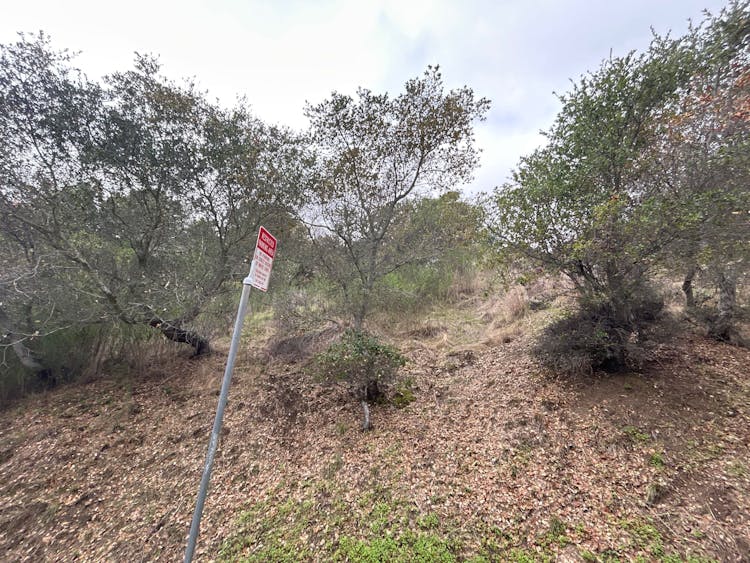 257 Coleman Drive San Rafael, CA 94901, Marin County