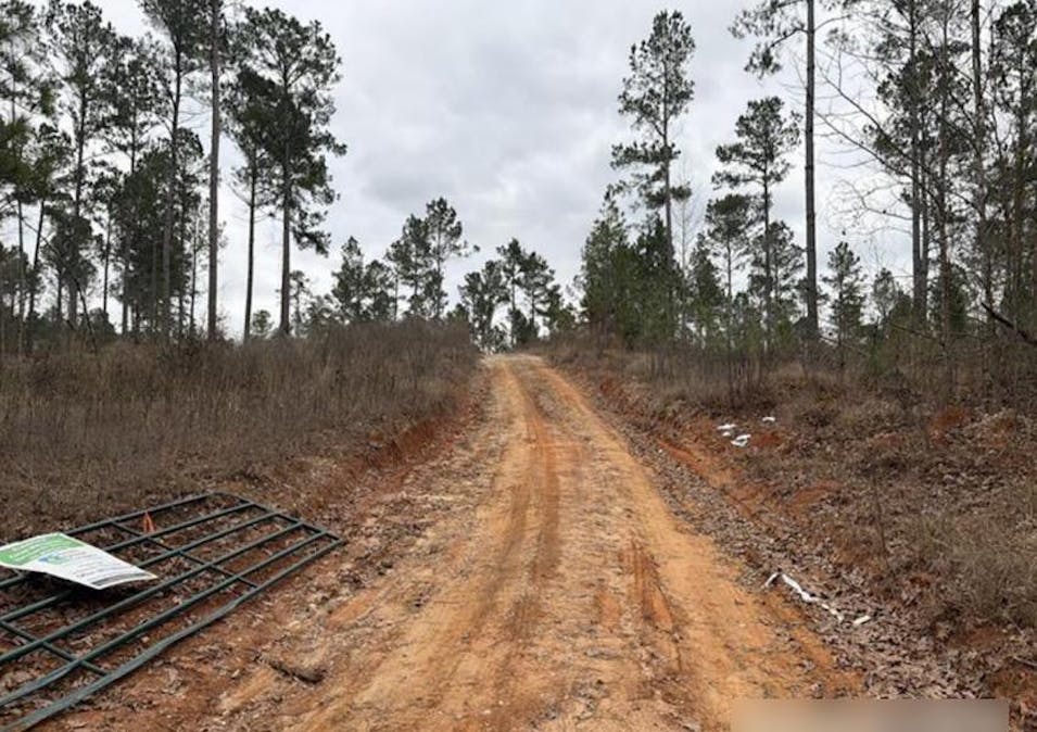 22059 State Hwy 154 Harleton, TX 75651, Harrison County