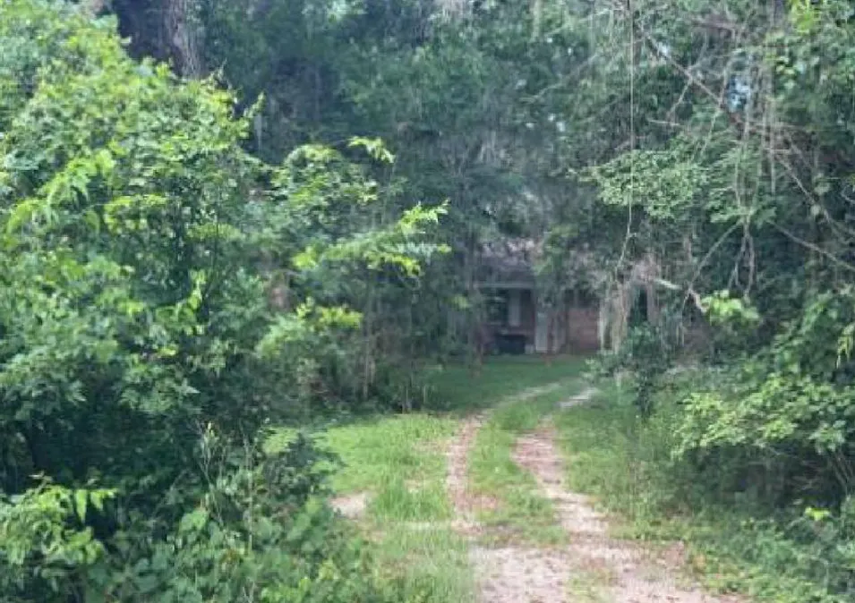 16345 County Road 946 Brazoria, TX 77422, Brazoria County