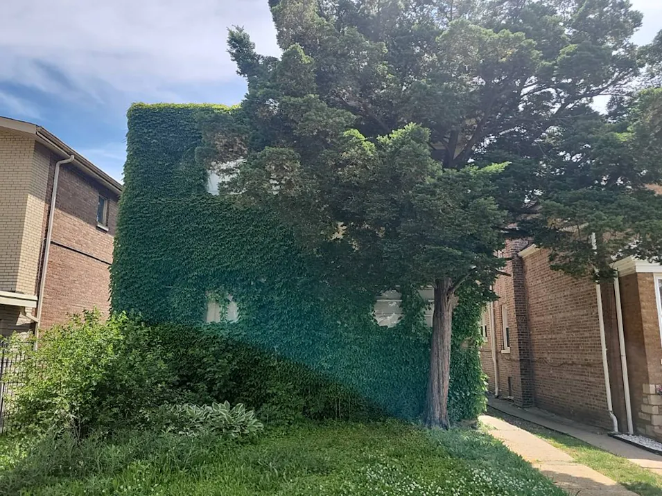 8811 S Harper Ave. Chicago, IL 60619, Cook County