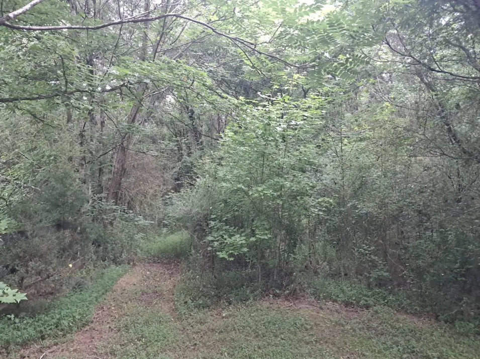 8012 Walkup Road Waxhaw, NC 28173, Union County