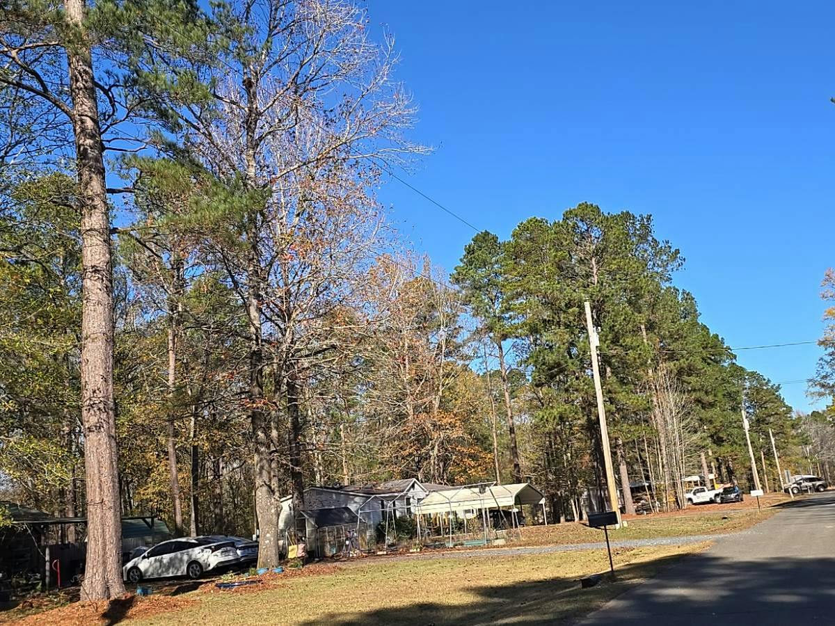 Wildoak Dr, Haughton, LA 71037