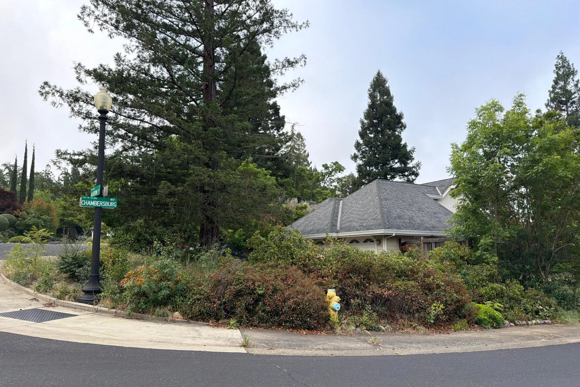 Allerton Ct, Folsom, CA 95630 #1