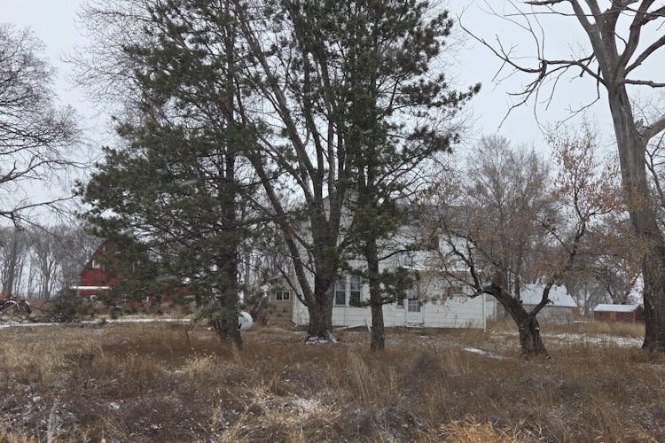 46158 286th Street Davis, SD 57021, Turner County