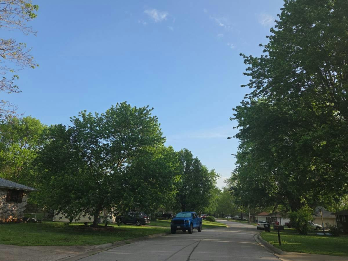 Teakwood Ave, Republic, MO 65738