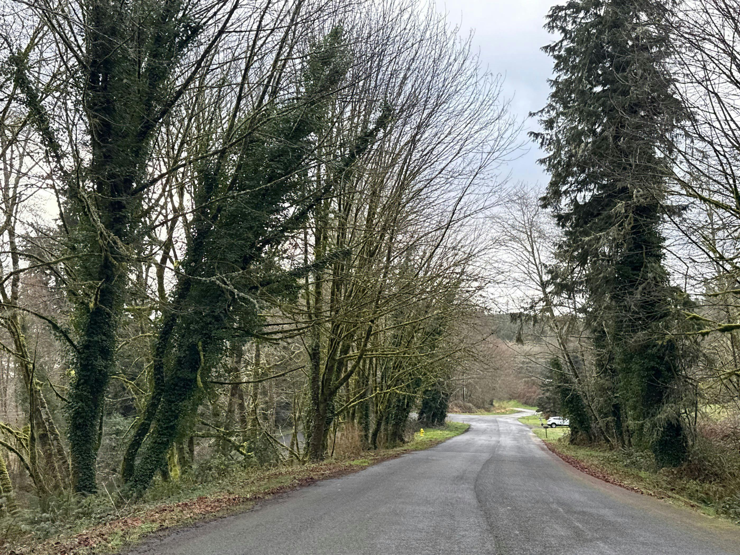 Cedar St, Astoria, OR 97103