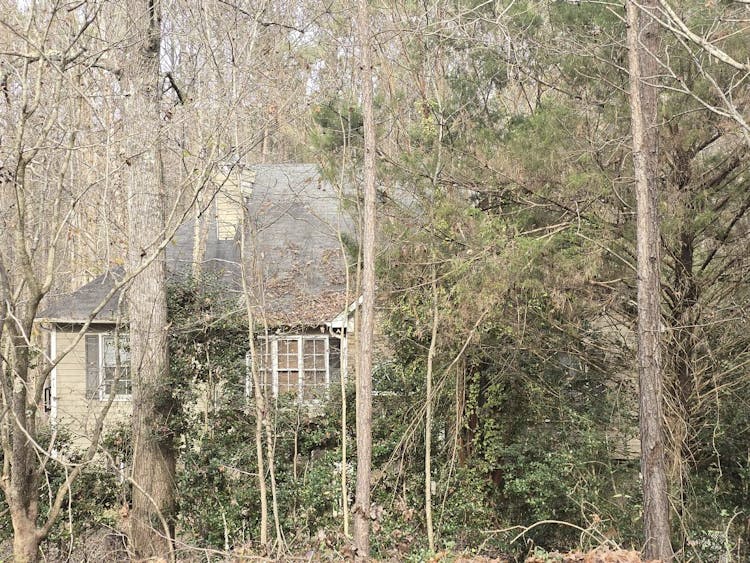 337 Eagle Pointe Drive Dallas, GA 30132, Paulding County