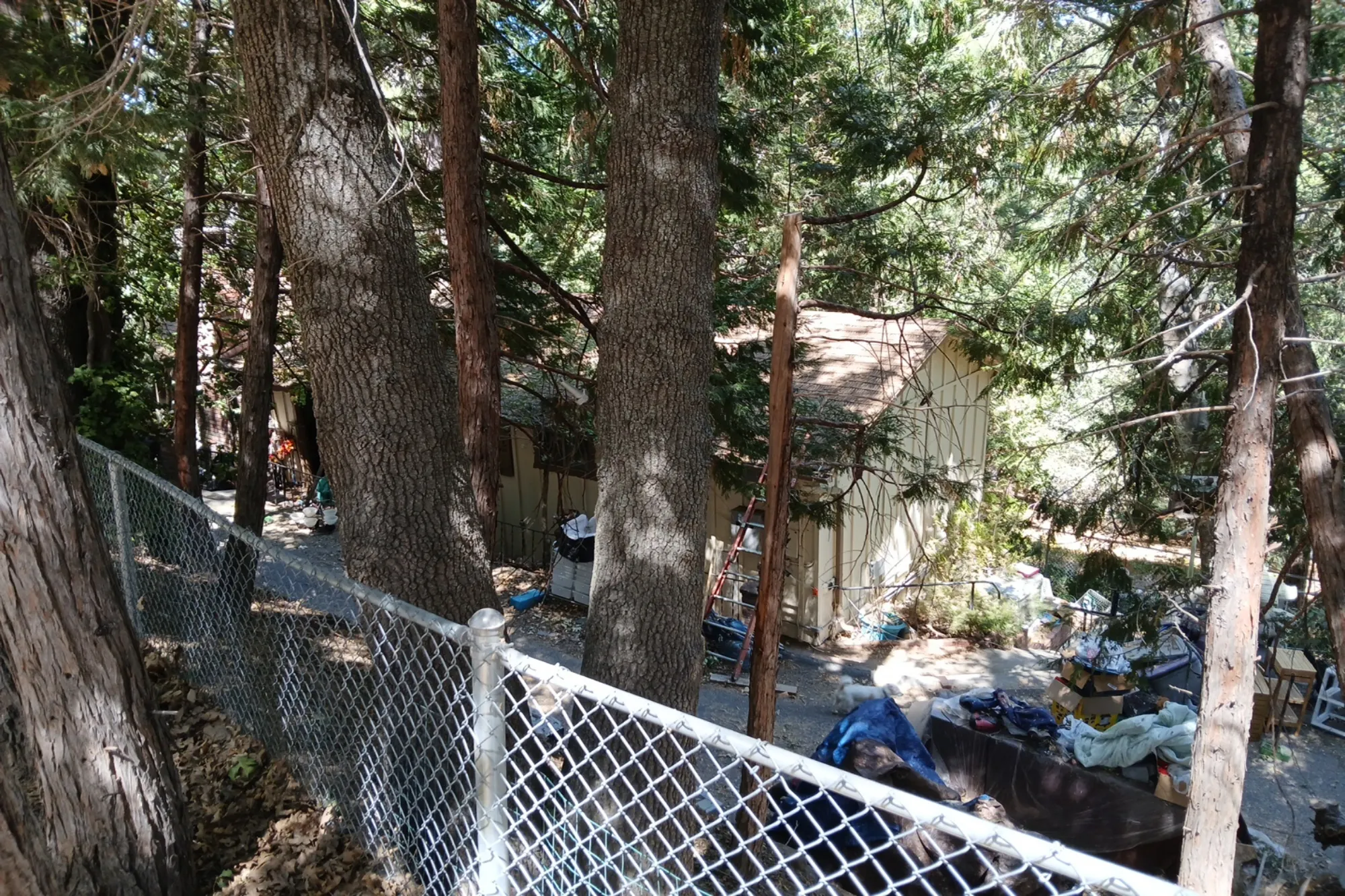 Edelwiess Dr, Crestline, CA 92325 #1