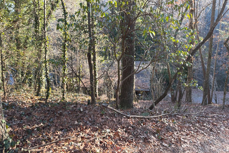 30 Bear Run Cir Ellijay, GA 30540, Gilmer County