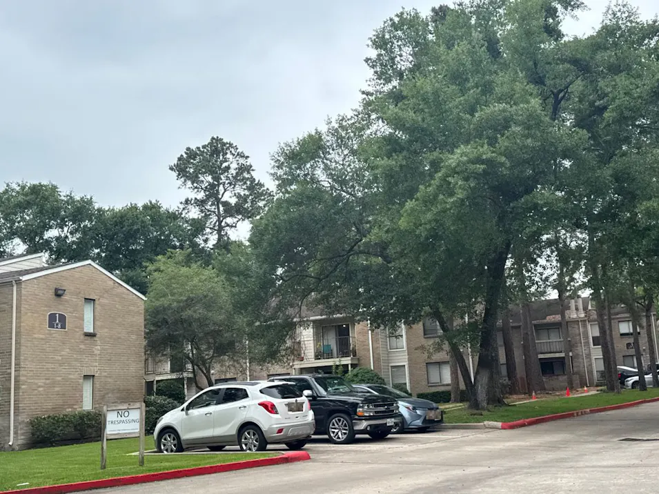 3500 Tangle Brush Dr the Woodlands, TX 77381, Montgomery County