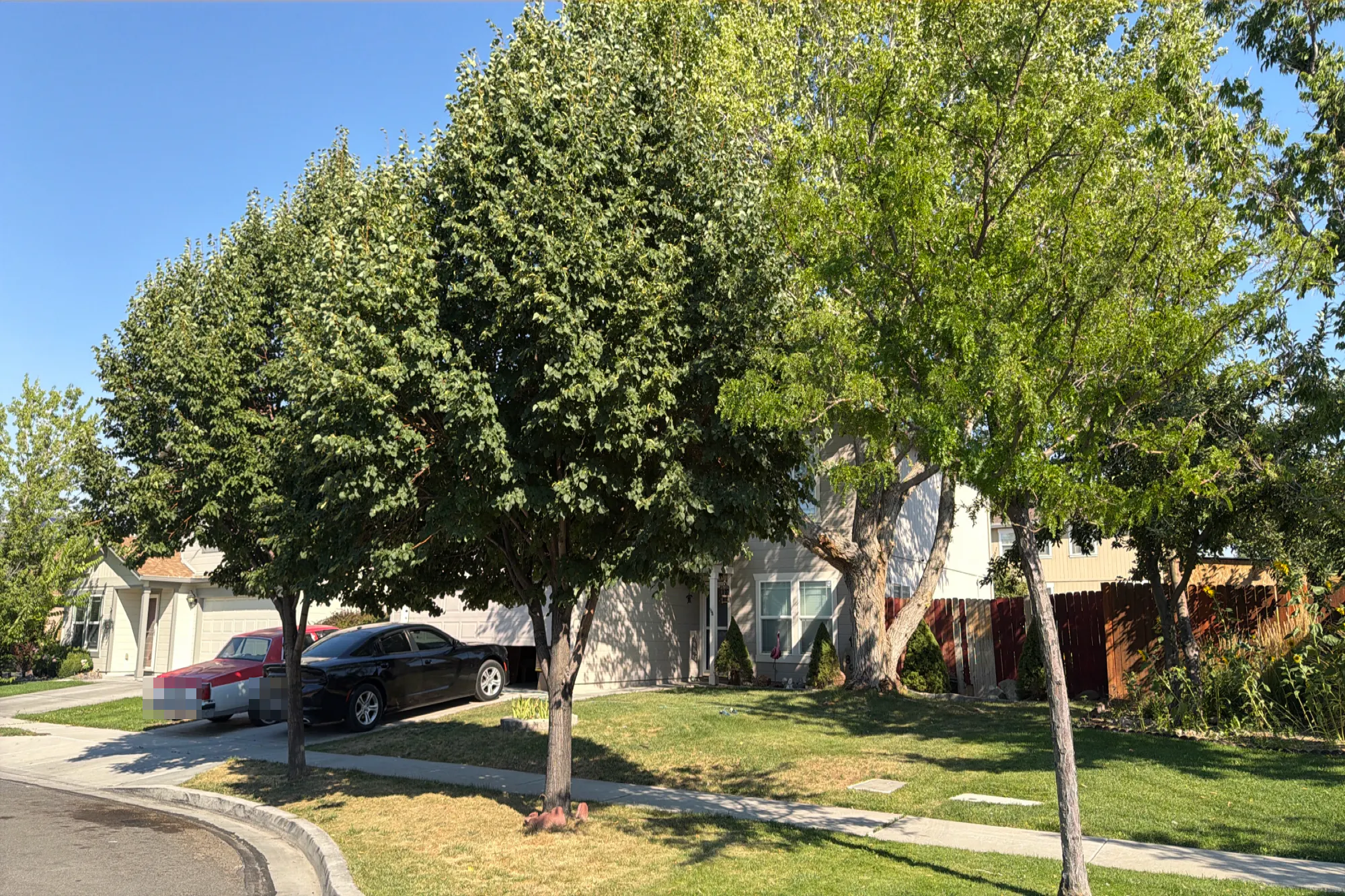 Grisom Way, Reno, NV 89506 #1