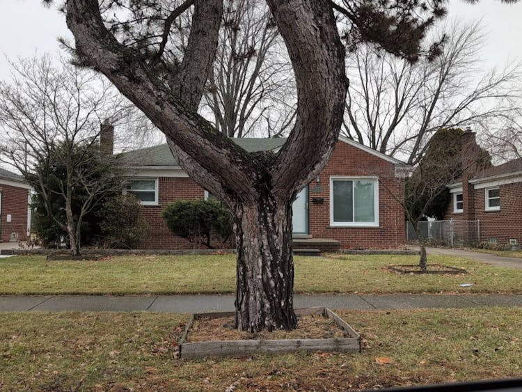 20007 Elizabeth St Saint Clair Shores, MI 48080, Macomb County