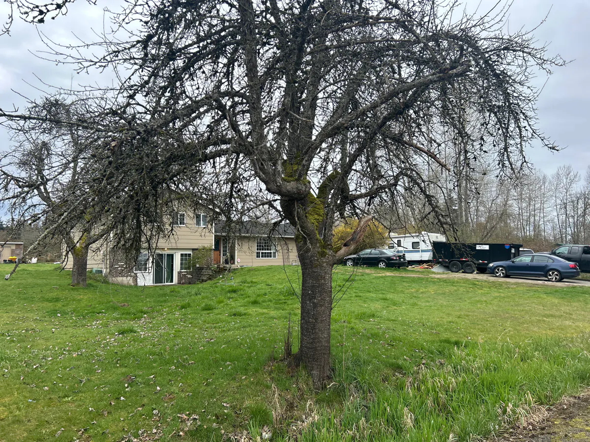 232nd St, Graham, WA 98338 #1