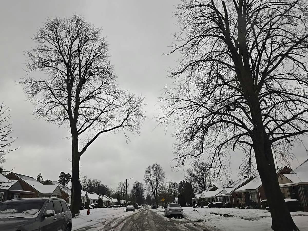 Edinborough Rd, Detroit, MI 48219