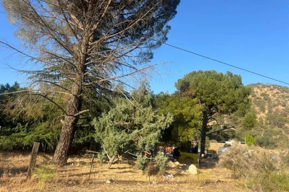 17275 Indian Creek Road Caliente, CA 93518, Kern County