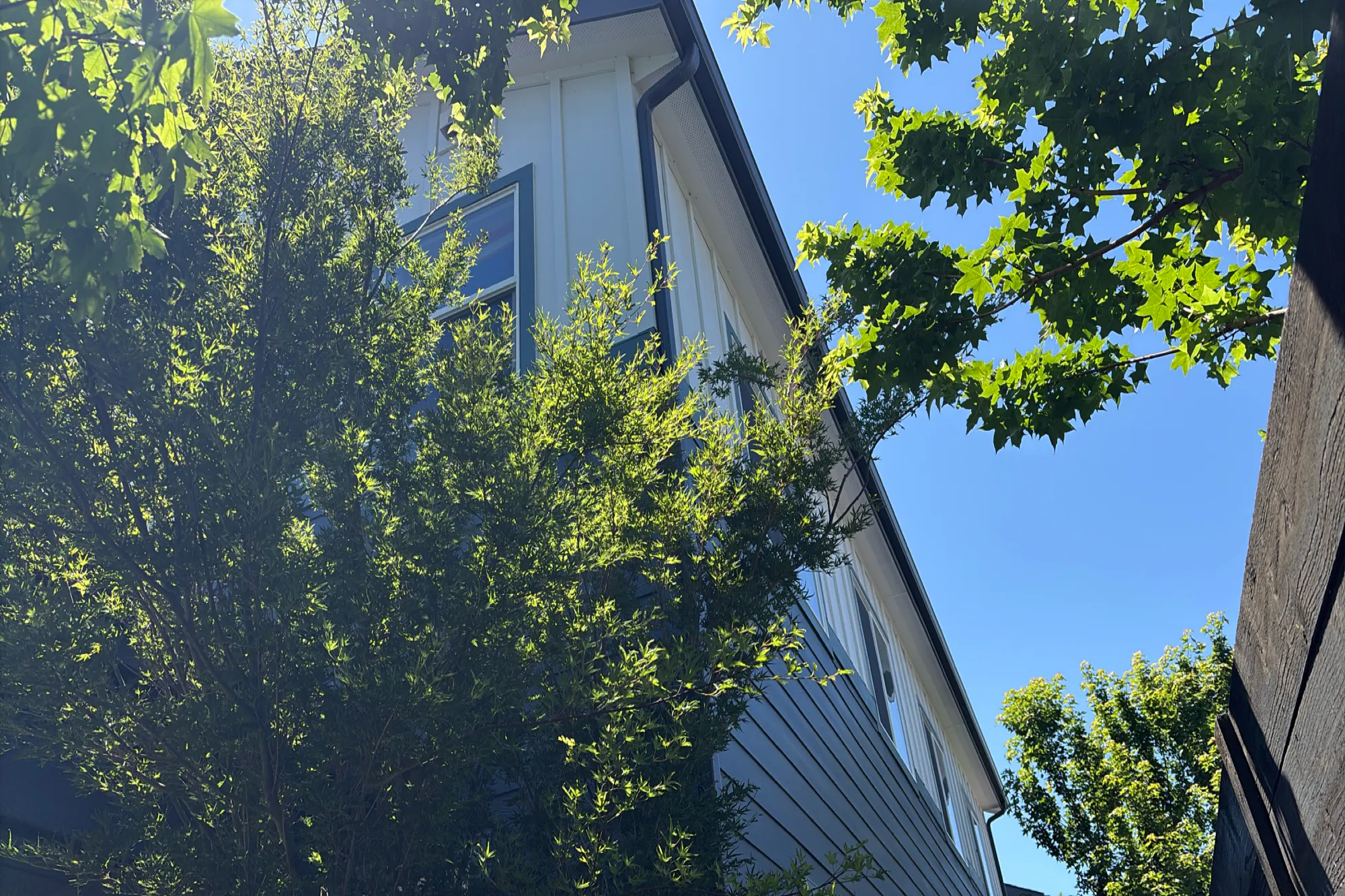 Bluffs Ridge Ln, Boise, ID 83704 #1