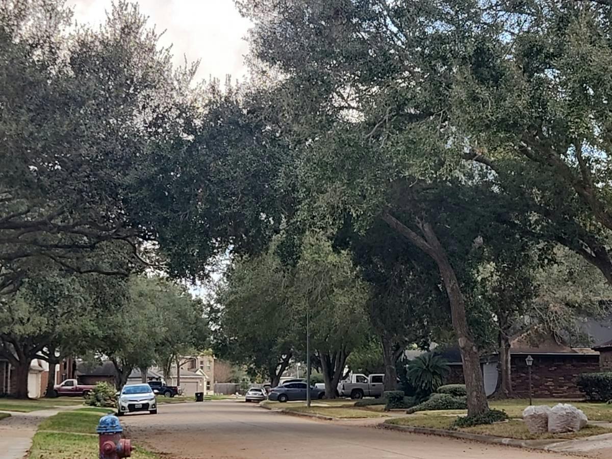 Foxborrough Ln, Missouri City, TX 77489
