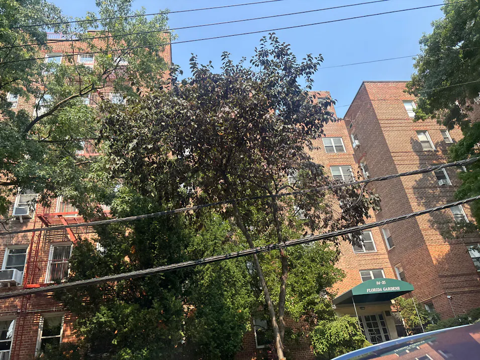 84-35 Lander St 5b Briarwood, NY 11435, Queens County
