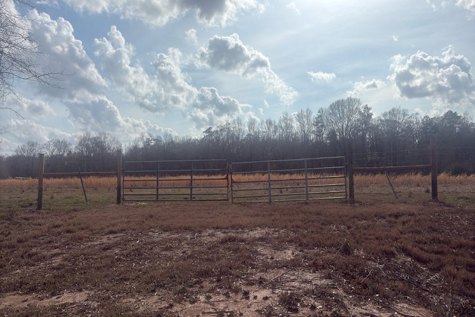 100 Peach Tree Drive Carriere, MS 39426, Pearl River County