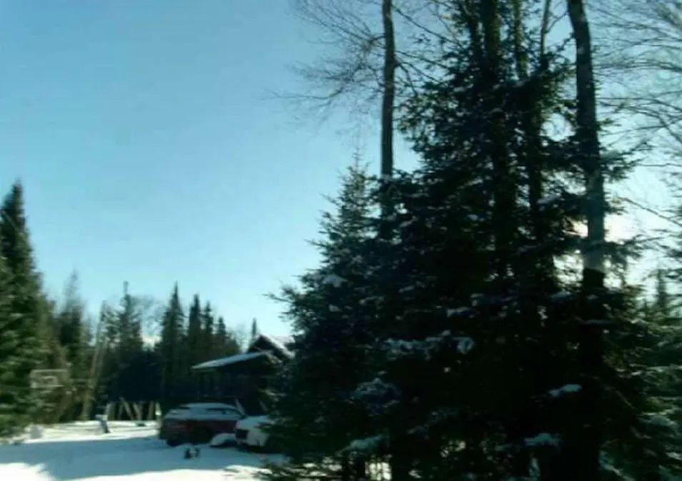 206w Forest Lake Road Bethlehem, NH 03574, Grafton County