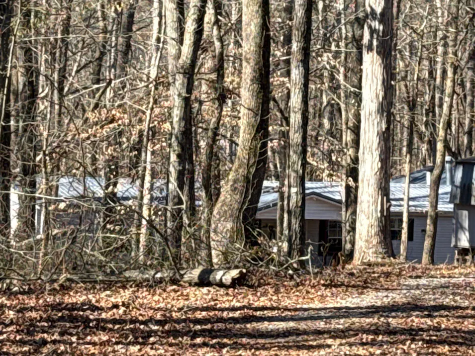 376 Kellogg Dr Colbert, GA 30628-2013, Madison County