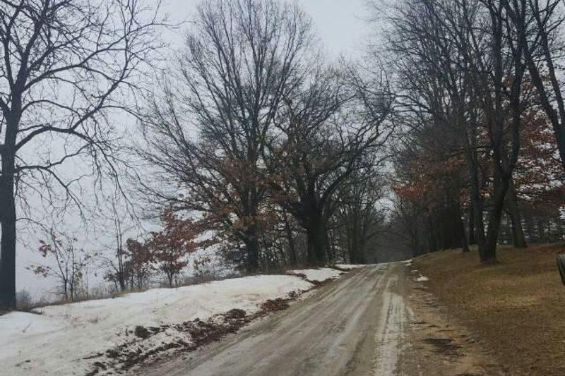 Munith 9055 Randolph Rd, Munith, MI 49259 | RealtyTrac
