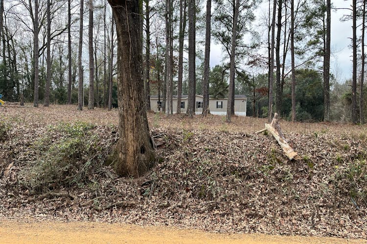 211 Davis Pond Road Luverne, AL 36049, Crenshaw County