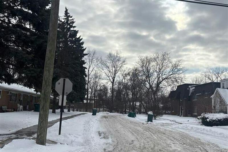 Longtin Ave, Lincoln Park, MI 48146