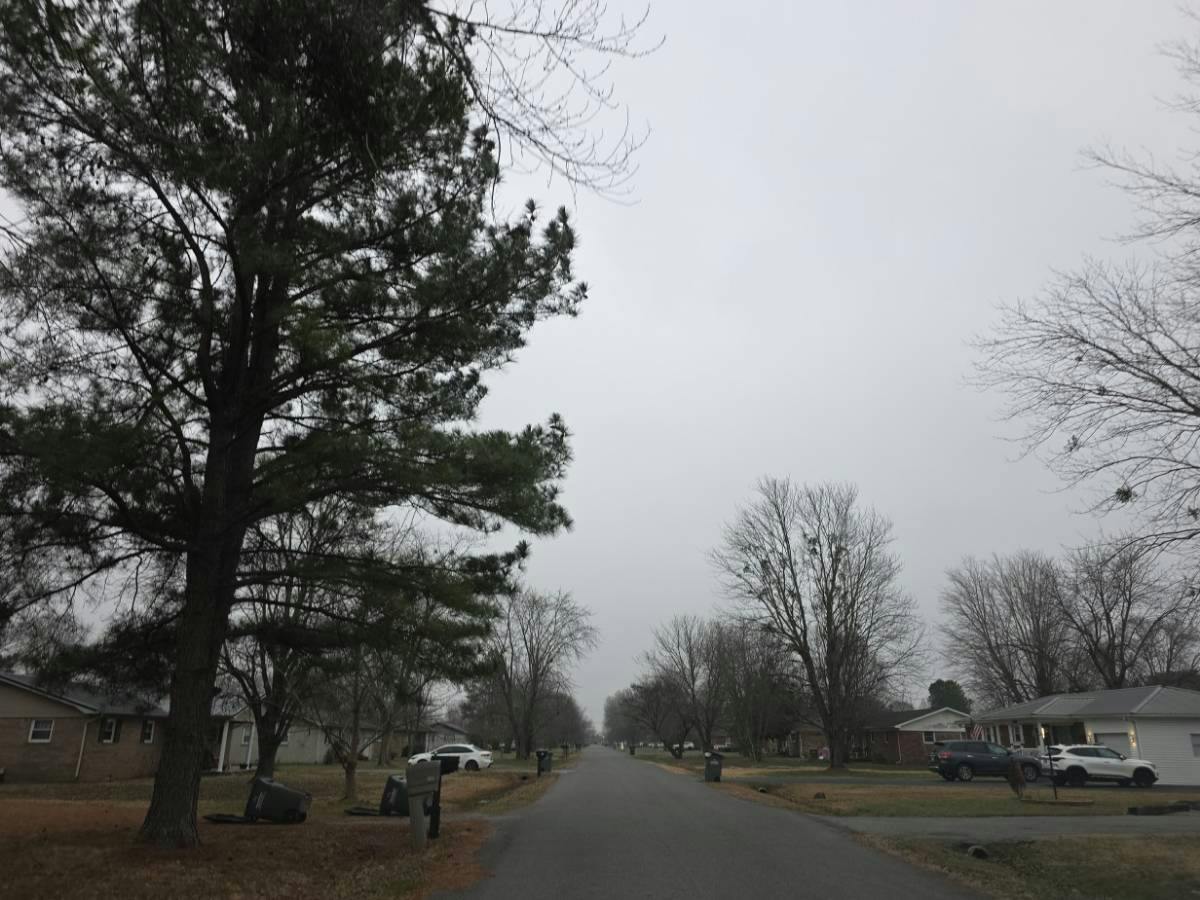 Sharon Dr, Ledbetter, KY 42058