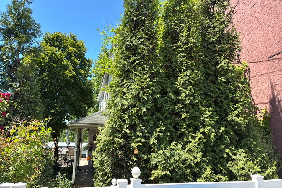 44 N Centre Ave Leesport, PA 19533, Berks County